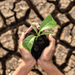 soil-degradation