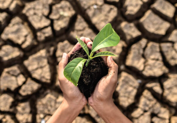 soil-degradation